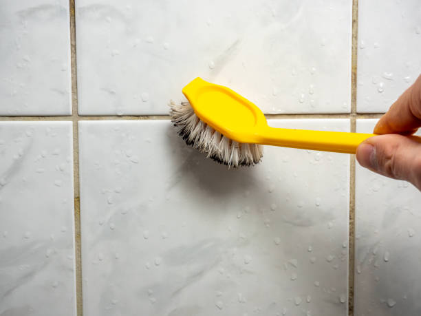 Best Home Mold Removal  in Loretto, TN