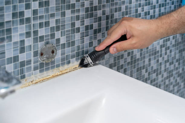 Best Mold Damage Repair  in Loretto, TN